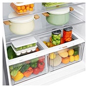 LG Large Top Mount Fridge, Smart Inverter, 592L, GR-H842HLHL, GR-H842HLHL, thumbnail 6