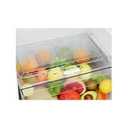 LG Top Mount Fridge, 234L, Platinum Silver, GR-C345SLBB, GR-C345SLBB, thumbnail 4