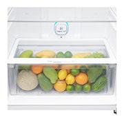 LG Top Freezer Refrigerator, GN-C782SGGL, vegetable box view, GN-C782SGGL, thumbnail 10