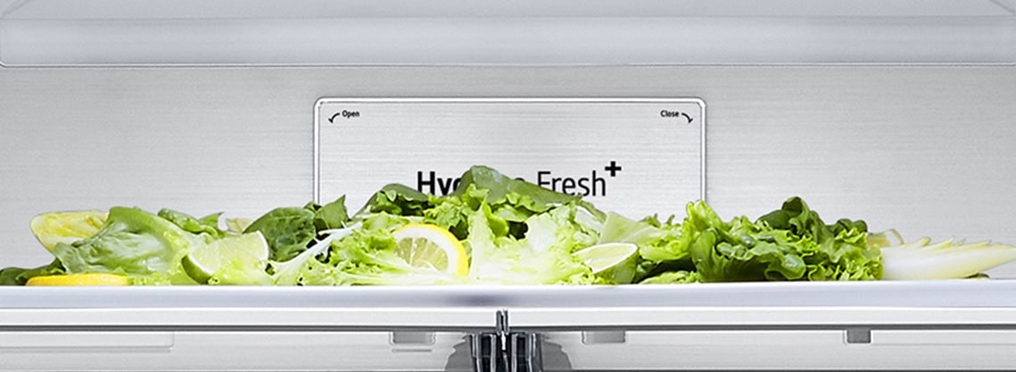 Close-up of metal fresh label inside the refrigerator.