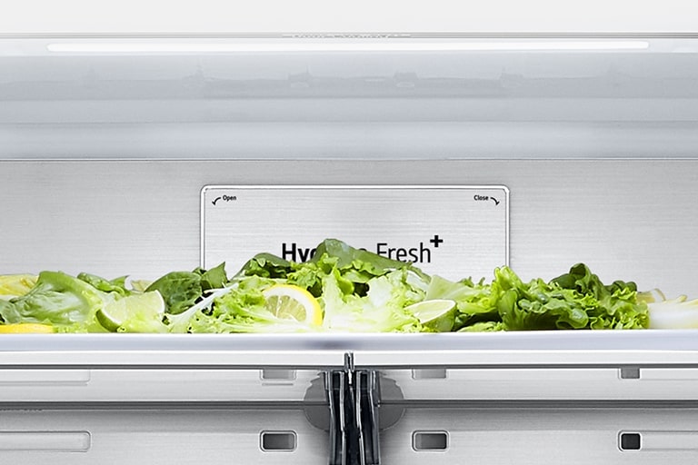 Close-up of metal fresh label inside the refrigerator.