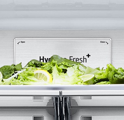 Close-up of metal fresh label inside the refrigerator.