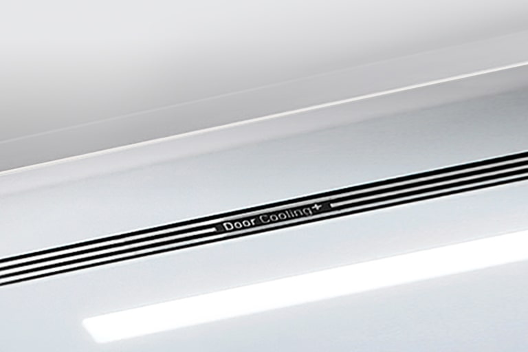A diagonal view up into the top of the refrigerator showing the soft LED lighting.