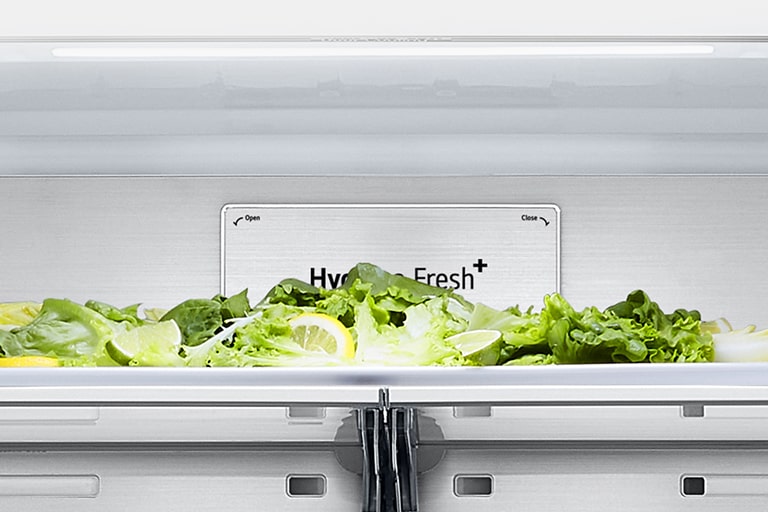 Close-up of metal fresh label inside the refrigerator.