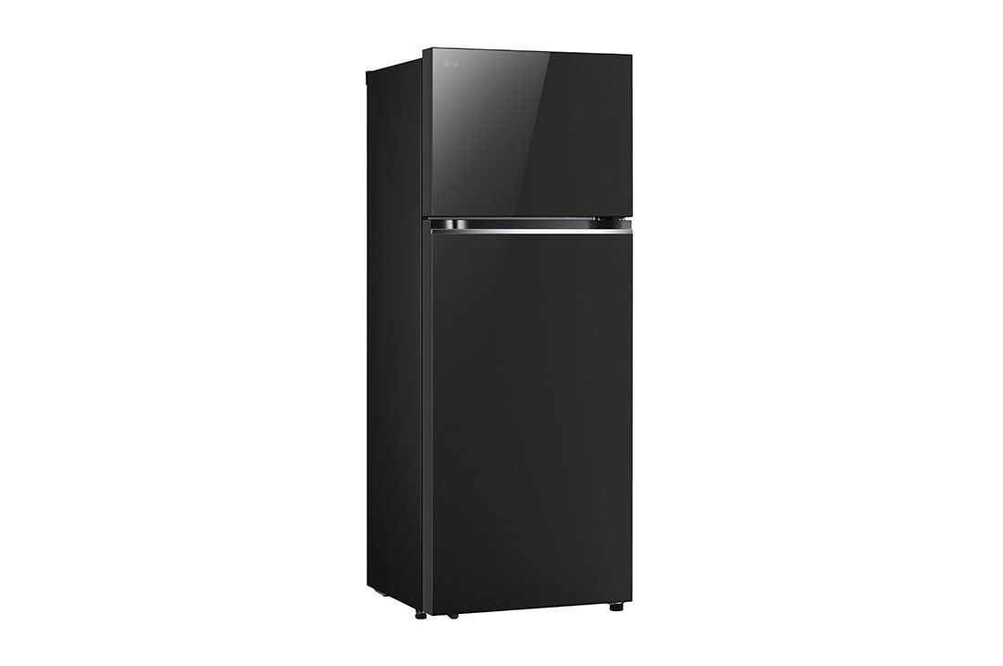LG New Smart Inverter™, Top Freezer Fridge, LinearCooling™, DoorCooling+™, left side view, GR-B642PGFK, thumbnail 11