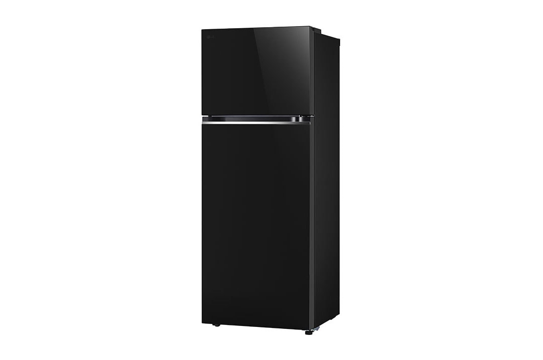 LG New Smart Inverter™, Top Freezer Fridge, LinearCooling™, DoorCooling+™, right side view, GR-B642PGFK, thumbnail 12