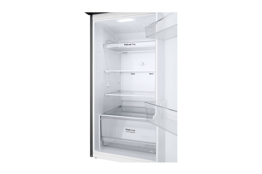 LG 243L Top Freezer Refrigerator in Platinum Silver, Smart Inverter, Humidity Control, without food, GR-B355PLMB, thumbnail 10