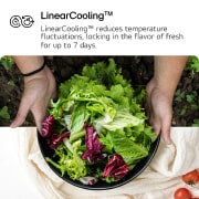 LG 619L Multi-door Refrigerator with LinearCooling™, DoorCooling+™, and FRESHConverter+™ in Black Glass, USP image for linear cooling, GR-B30FFGPB, thumbnail 3