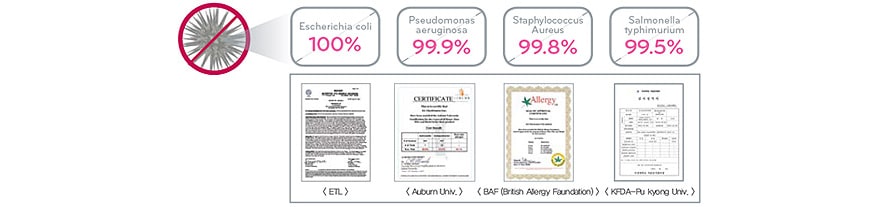 Certificates & Researches