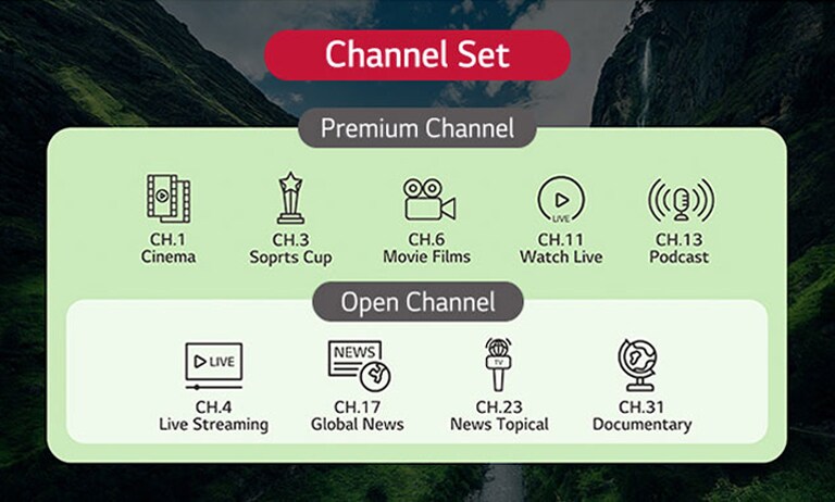 TV channels provided by the solution can be categorized into groups based on their types. This includes setting up both standard TV channels and additional channels exclusive to premium customers.