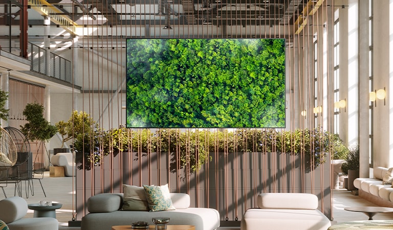 This image presents a display featuring green nature, evoking an eco-friendly impression.