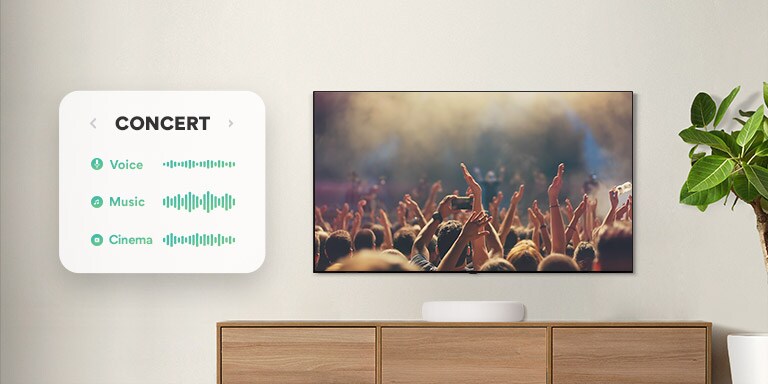 TV is on the wall. TV shows people clapping at the concert, the channel is switched to a movie scene with a driving car in a forest, and channel once again is switched to News and an anchor is speaking. LG Soundbar is right below TV on a wooden shelf.