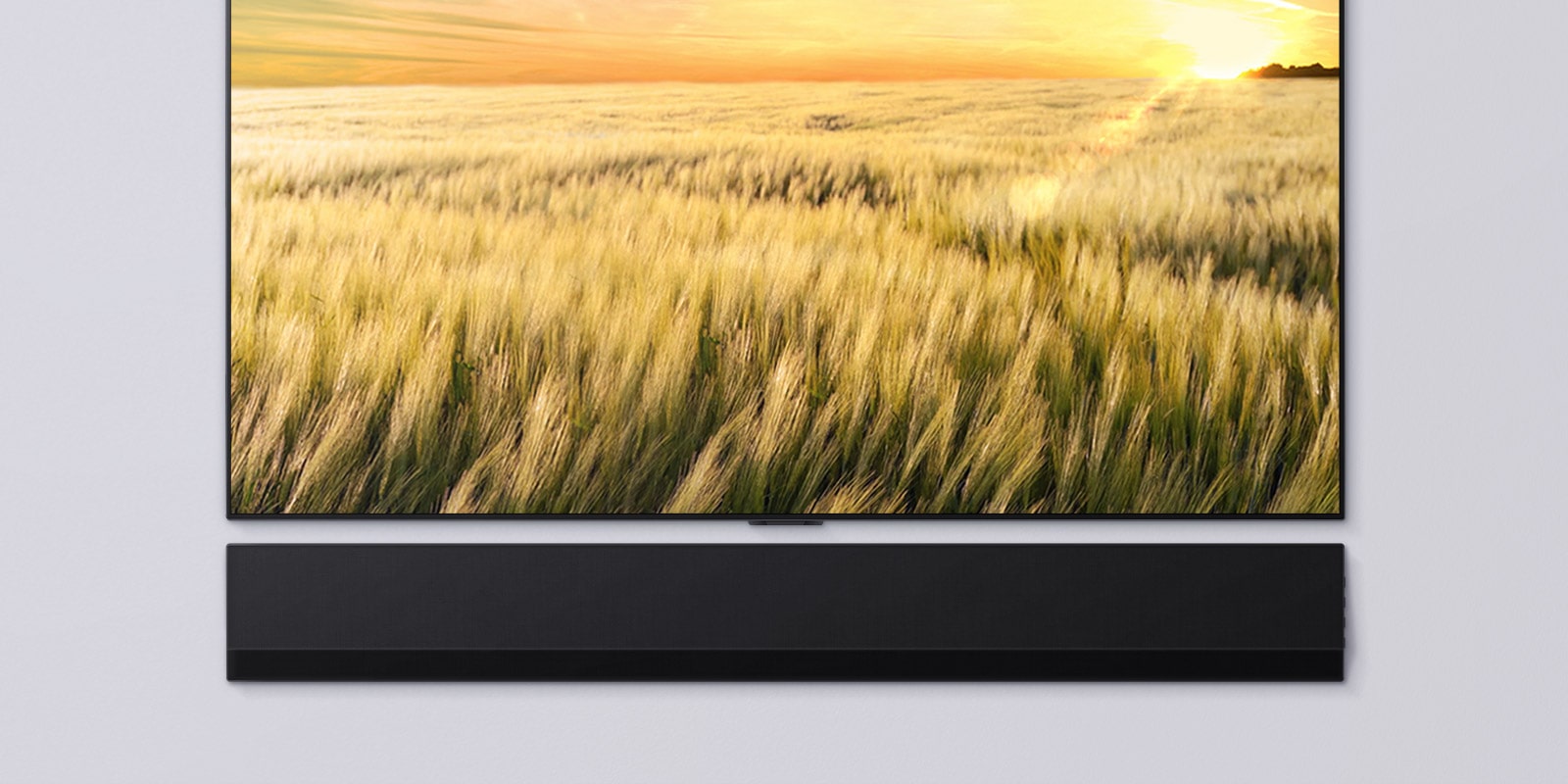 A front-facing view of a TV and Soundbar. The TV shows a field of reeds at sunset. 