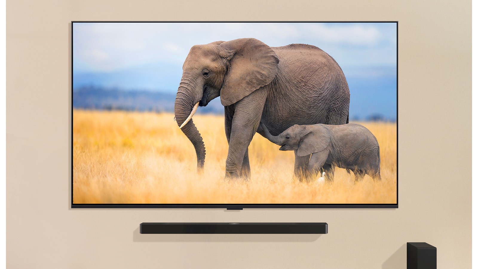 A child is standing in front of a large TV displaying an image of two elephants, one adult and one baby, walking in a grassy field.