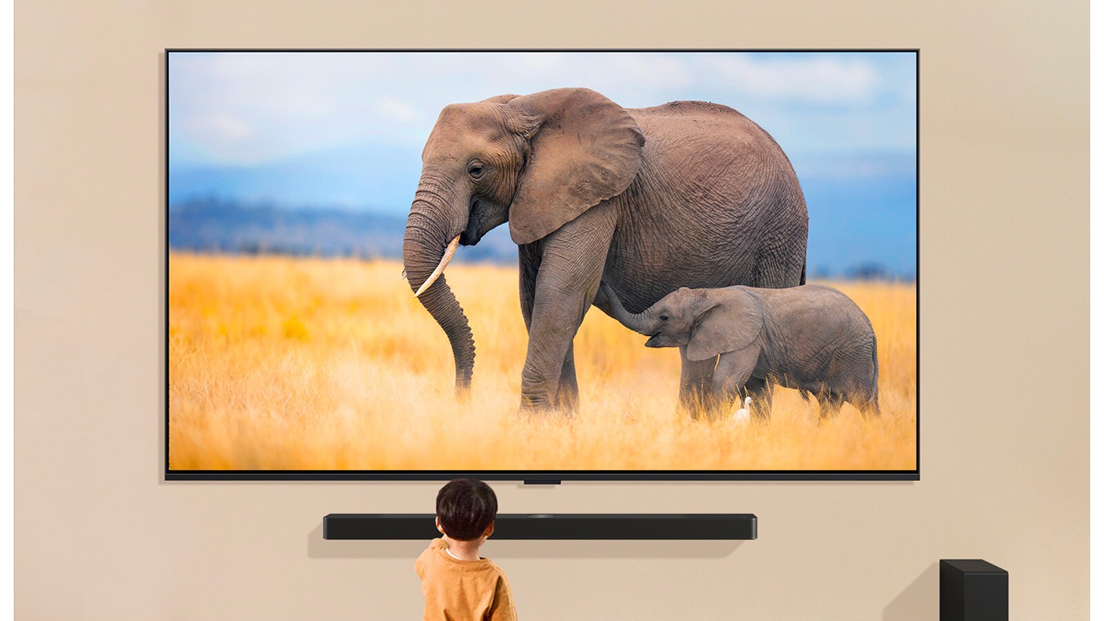 A child is standing in front of a large TV displaying an image of two elephants, one adult and one baby, walking in a grassy field.