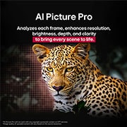 LG 55 inch LG OLED evo AI C5 4K 144Hz Smart TV AI Magic remote webOS25 2025 , Leopard in the forest in vivid color and detail. The leopard has a grid and a light glowing behind it, indicating how LG AI Picture Pro made impressive visual enhancements to the scene's resolution, b, OLED55C56LA, thumbnail 9