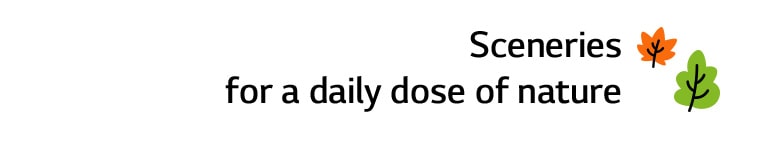 Title reads, Sceneries for a daily dose of nature