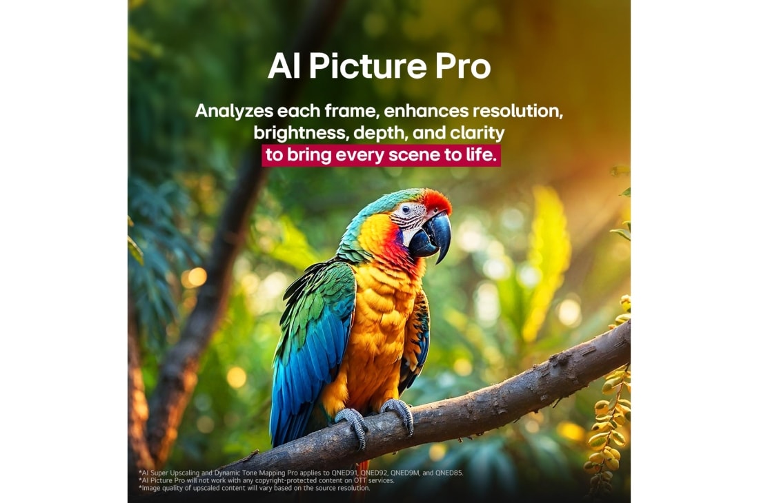 LG 75 inch LG QNED evo AI QNED91 4K 120Hz Smart TV AI Magic remote webOS25 2025 , Parrot on a tree branch in vivid color. The title talks about how LG Al Picture Pro made impressive visual enhancements to the scene's resolution, brightness, depth, and clarity., 75QNED91A6A, thumbnail 8