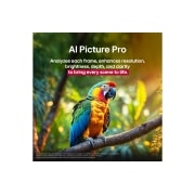 LG 75 inch LG QNED evo AI QNED91 4K 120Hz Smart TV AI Magic remote webOS25 2025 , Parrot on a tree branch in vivid color. The title talks about how LG Al Picture Pro made impressive visual enhancements to the scene's resolution, brightness, depth, and clarity., 75QNED91A6A, thumbnail 8