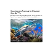 LG 75 inch LG QNED evo AI QNED85 Mini LED 4K Smart TV 2026, LG QNED evo AI Mini LED QNED85 with AI Picture Pro and Dynamic Tone Mapping Pro shows an underwater scene of a sea turtle swimming above coral and fish, as AI recognizes and upscales each frame to 4K , 75QNED85B6T, thumbnail 7