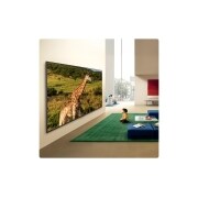 LG 75 inch LG QNED evo AI QNED85 Mini LED 4K Smart TV 2026, LG QNED evo AI Mini LED QNED85 Ultra Big TV design is wall-mounted in a bright living space, displaying a giraffe in a natural landscape with vivid detail that emphasizes immersive scale and presence , 75QNED85B6T, thumbnail 14