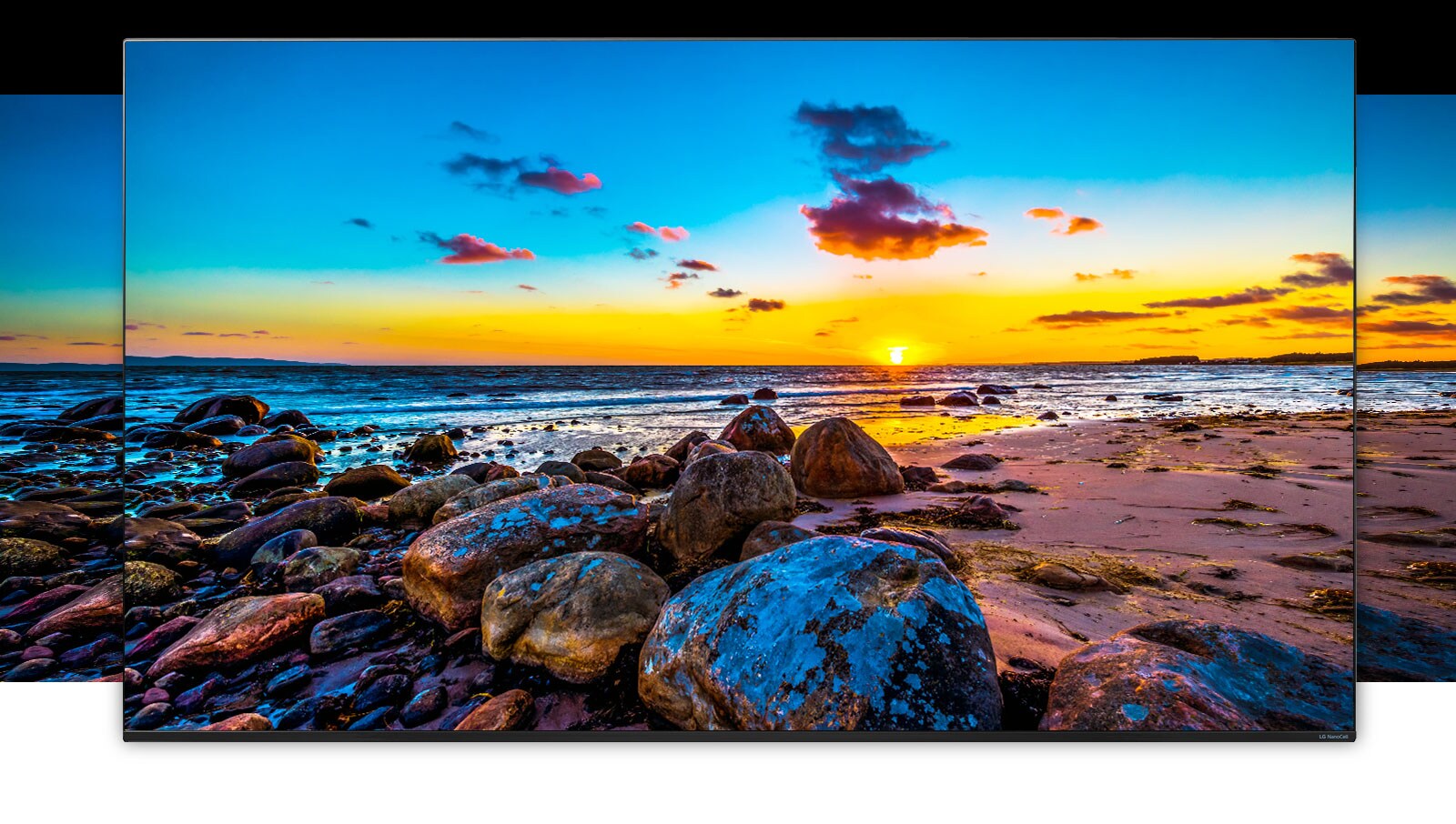 TV screen showing the wide view of nature