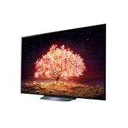 LG OLED 65 Inch TV With 4K Active HDR Cinema Screen Design from the B1 Series, 30 degree side view, OLED65B1PVA, thumbnail 5