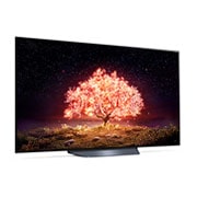 LG OLED 77 Inch TV With 4K Active HDR Cinema Screen Design from the B1 Series, interior view, OLED77B1PVA, thumbnail 8