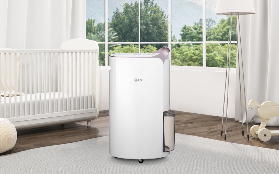 The Best Dehumidifier to Maintain a Healthy Home