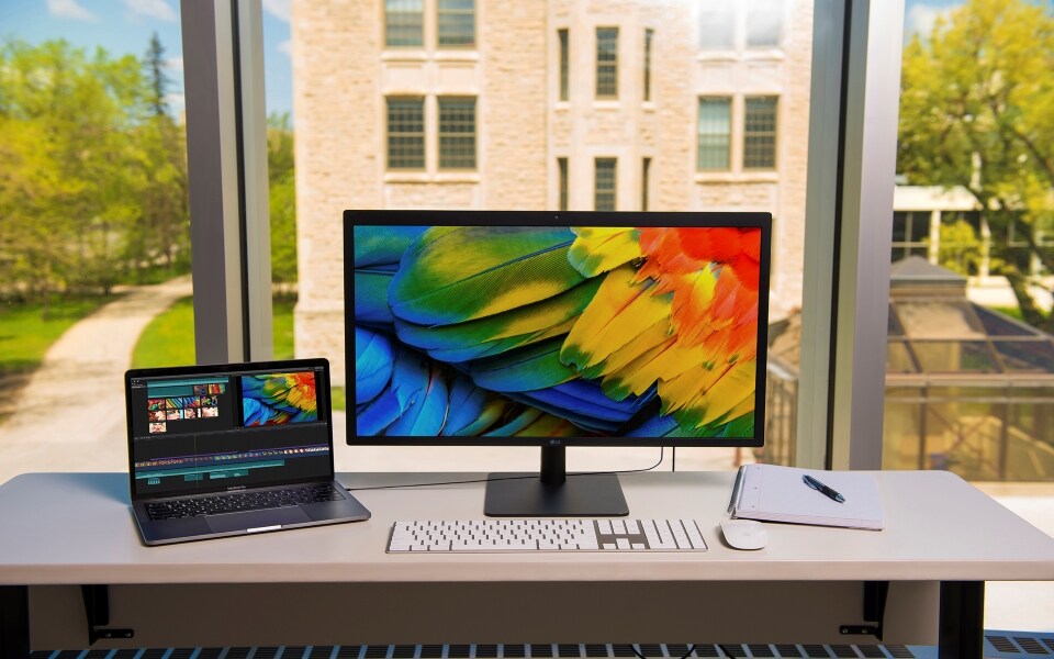 LG UltraFine Monitors
    