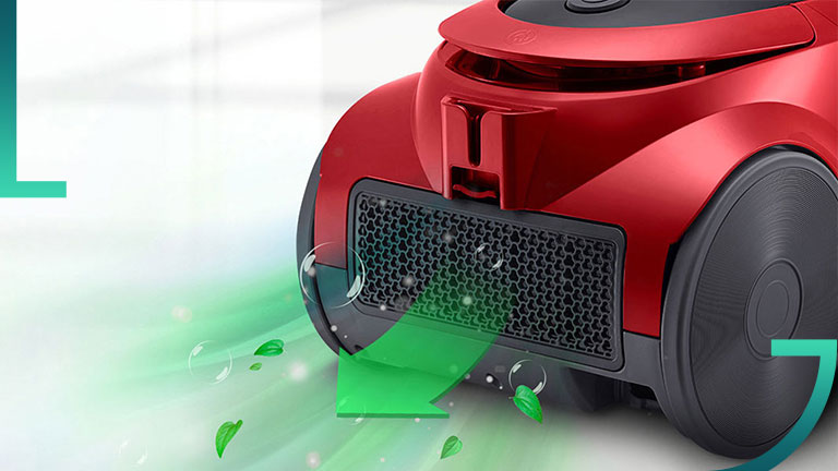 Vacuums 101: Which Vacuum Cleaner to Purchase