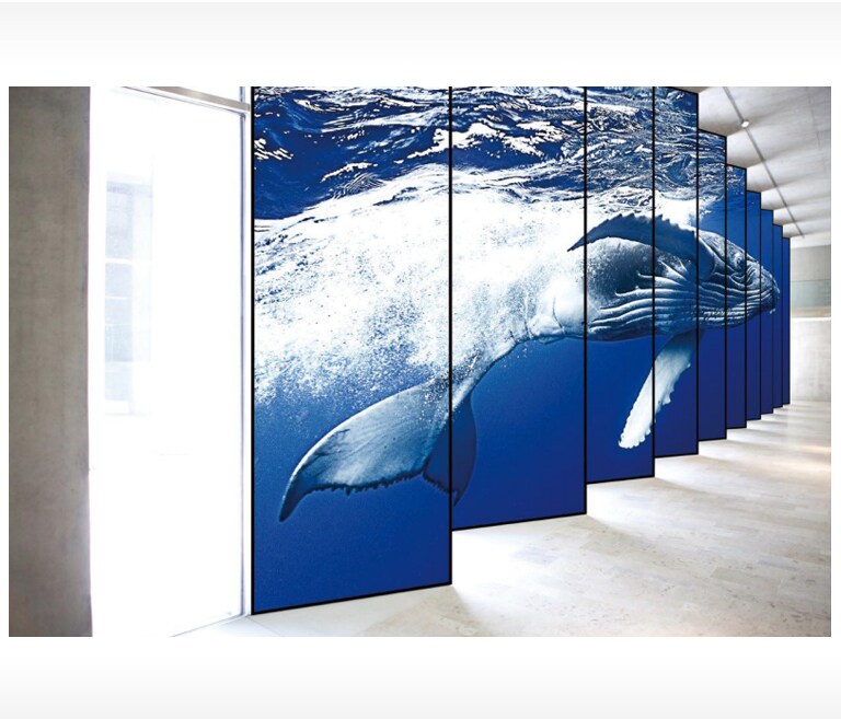 مشاهد كبيرة ومشاهدة غامرة2