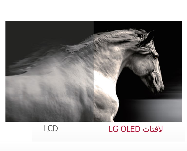 لون أسود مثالي2