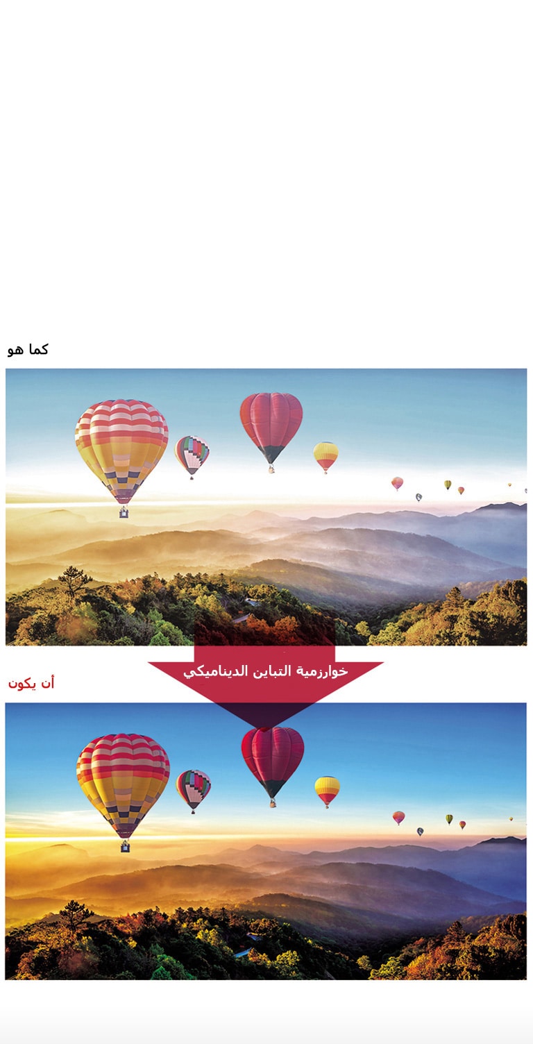 تمتع بالواقعية من خلال الألوان النابضة بالحياة2