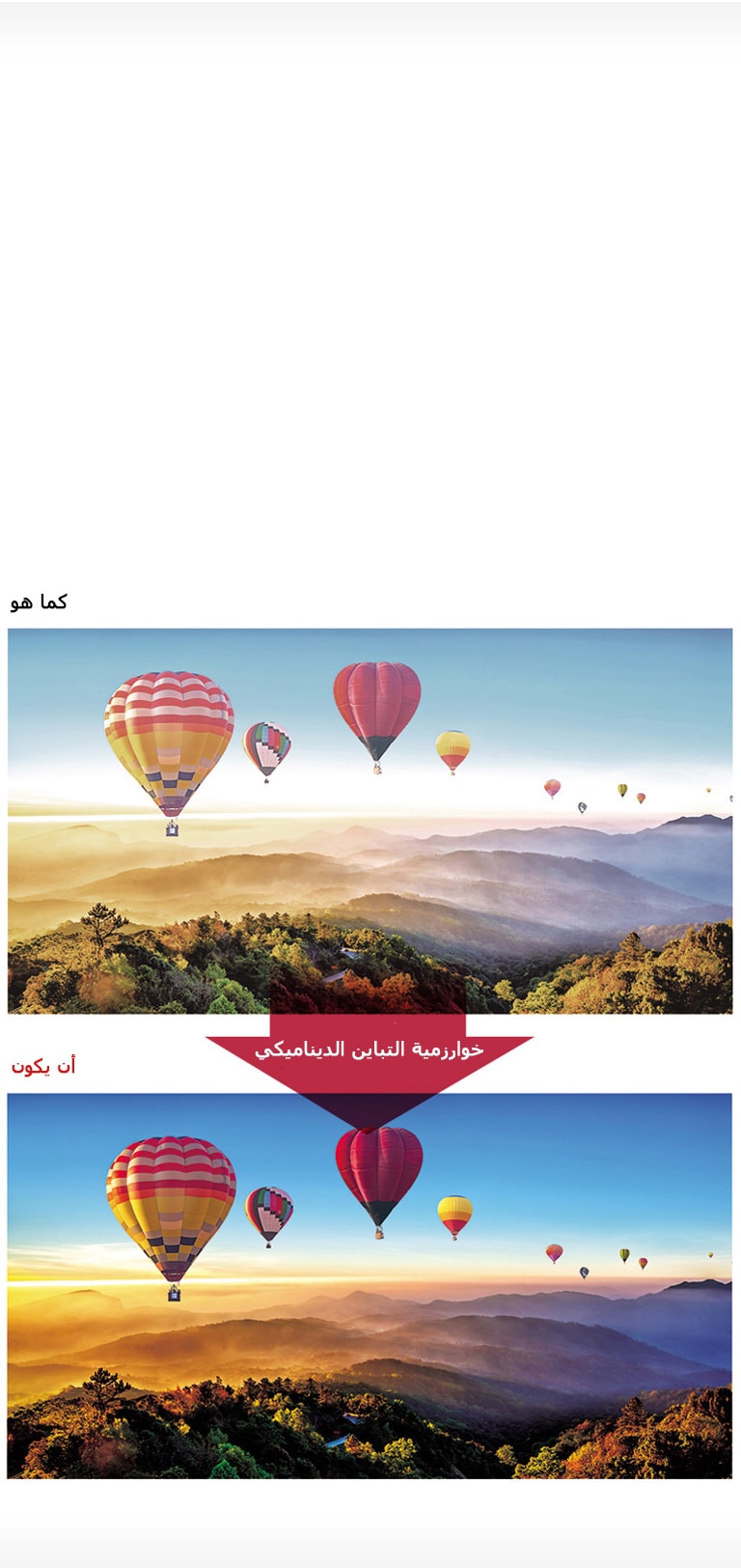 تمتع بالواقعية من خلال الألوان النابضة بالحياة2