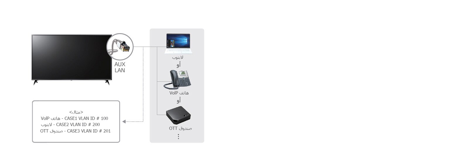 11_LAN-out-with-VLAN-Virtual-LAN-ID_d_1557490283924