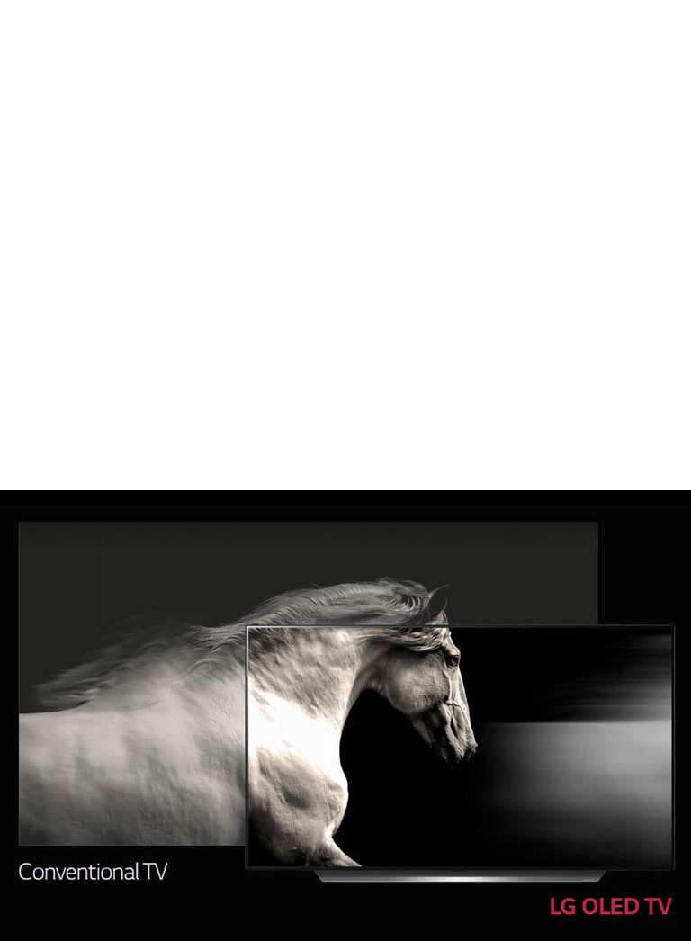 لون أسود مثالي. ألوان قوية2