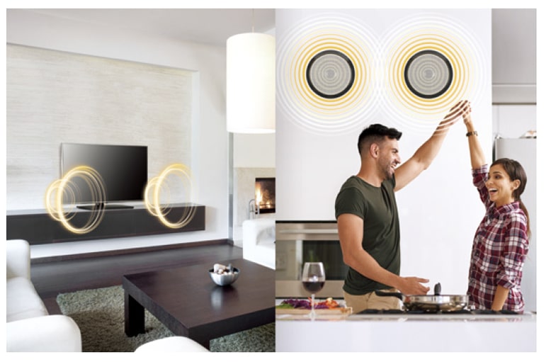 مكبر الصوت الخارجي2