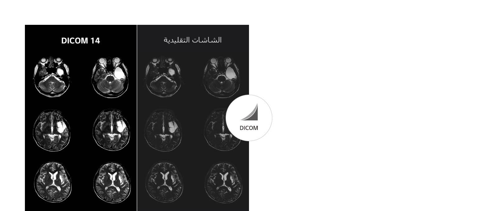 صور ذات تدرج رمادي ثابت1