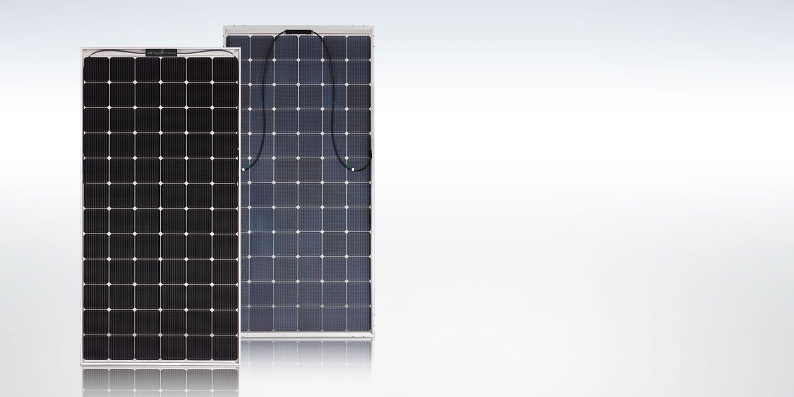 Neon-2-bifacial_Banner_D_1556797465216