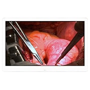 LG إل جي 27 بوصة UHD شاشة العمليات الجراحية 8MP من , 27HJ710S-W, thumbnail 1