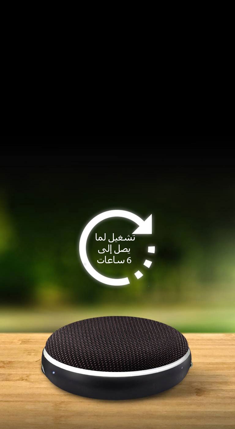 قابلية تنقل حقيقية<br>2