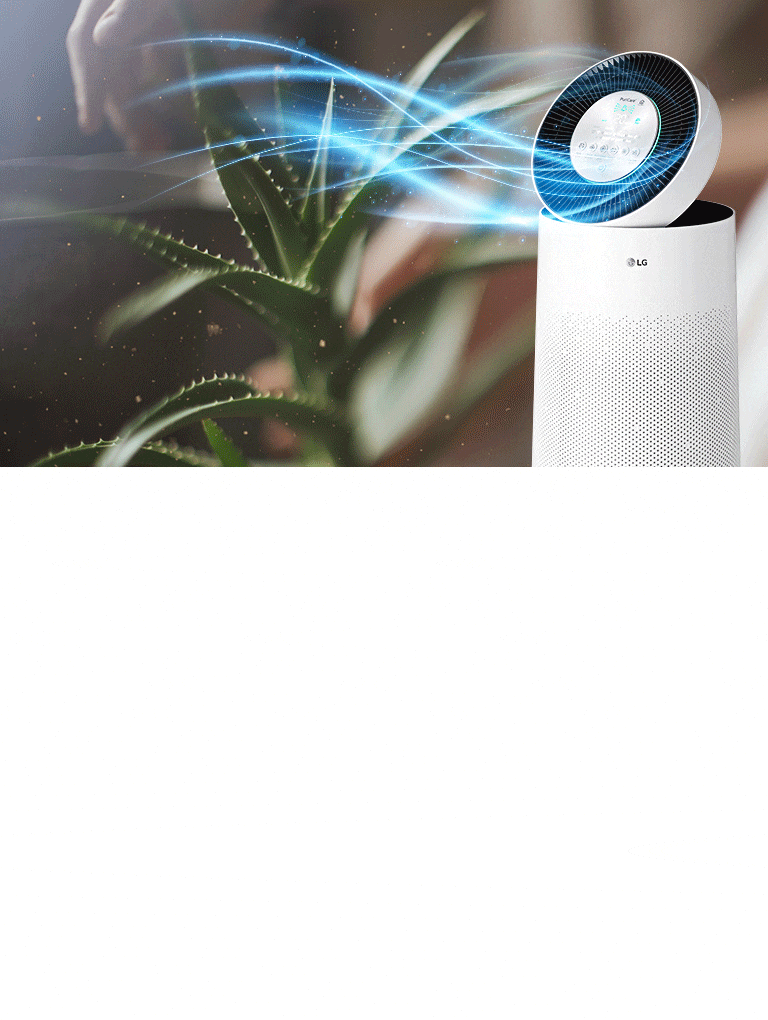 الهواء النقي في جميع أنحاء منزلك<br>2