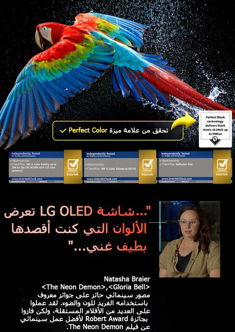 ببغاء ملون بدقة عالية للغاية على خلفية سوداء. يتم تعليق قطرات الماء في الهواء المحيط بها. تعرض الصورة اللون المثالي حيث أن كل درجة لون مختلفة على جسم الببغاء نابضة بالحياة. كما أن الخلفية الداكنة مع رذاذ المياه المفصل يسلطان الضوء على كيفية خلو الشاشة من الانعكاسات. تظهر شهادات شعار مختلفة من UL وIntertek. يشير هذا إلى دقة اللون بنسبة 100%، وحجم اللون بنسبة 100%، وأن الشاشة خالية من الانعكاسات. النص مرئي أيضًا، تحقق من علامة شهادة Perfect Color.