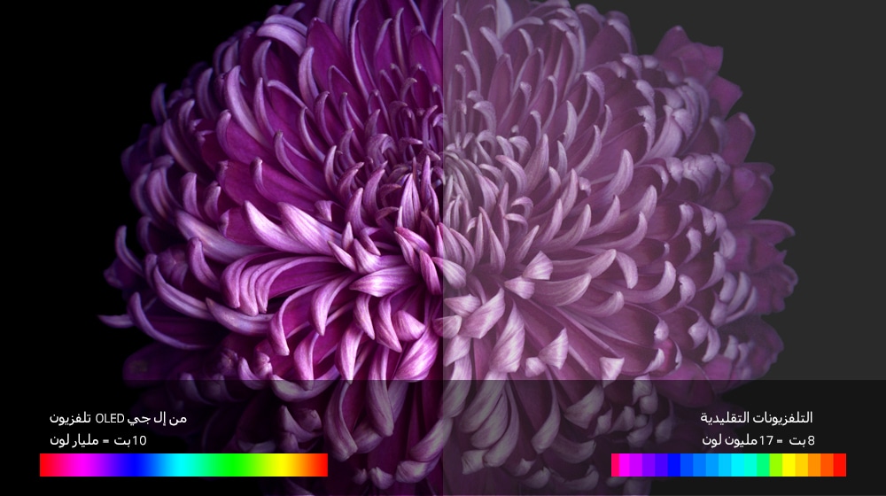 04_W7_A_PerfectColoronPerfectBlack(sub)-new