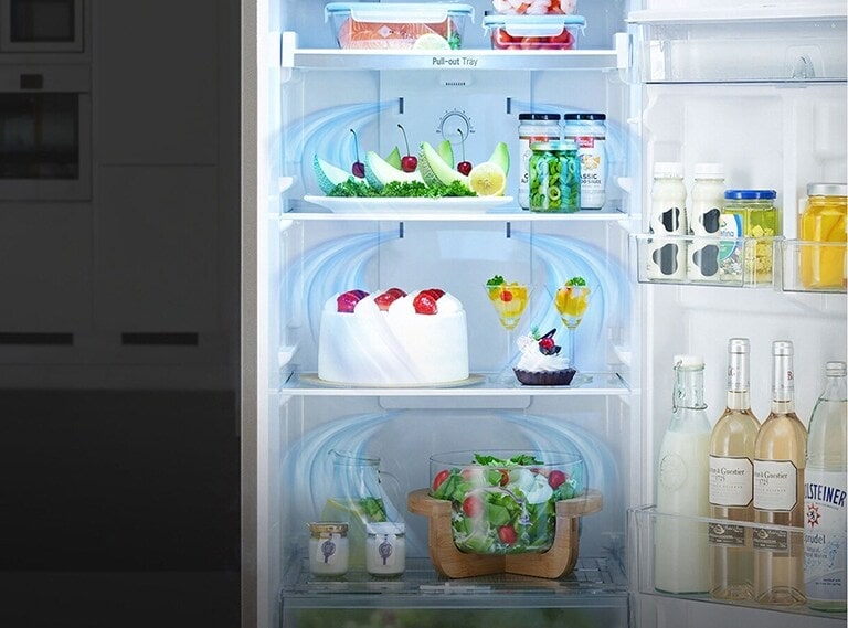 LG GC-B257DBM3 Refrigerator Multi Air Flow