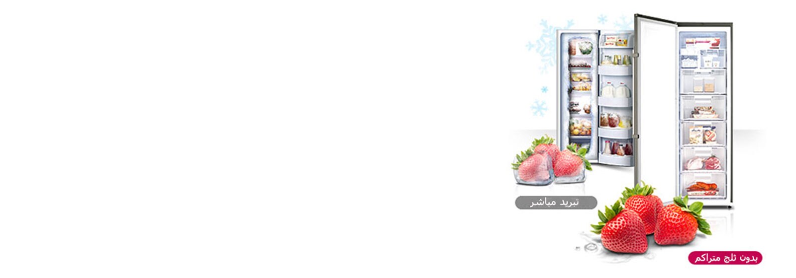 بدون صقيع  1