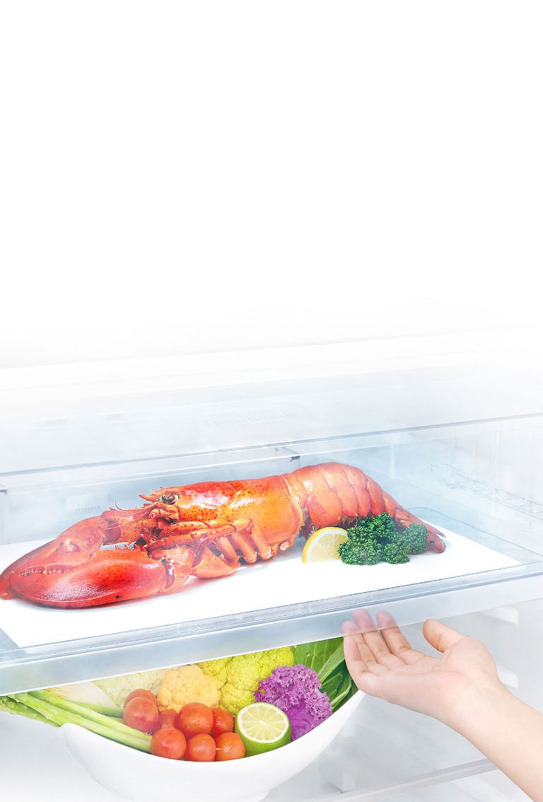 وفر وقت إذابة الثلج