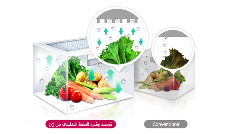 مجعد توازن الرطوبة™2