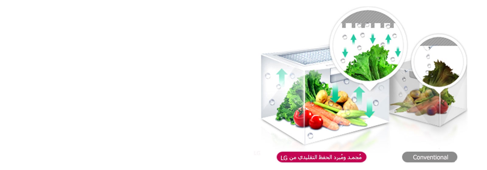 مجعد توازن الرطوبة™1